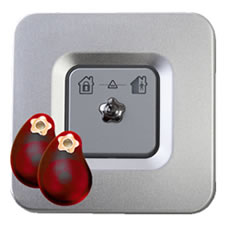 Lecteur de badge Securitas Direct Lecteur de badge Securitas Direct